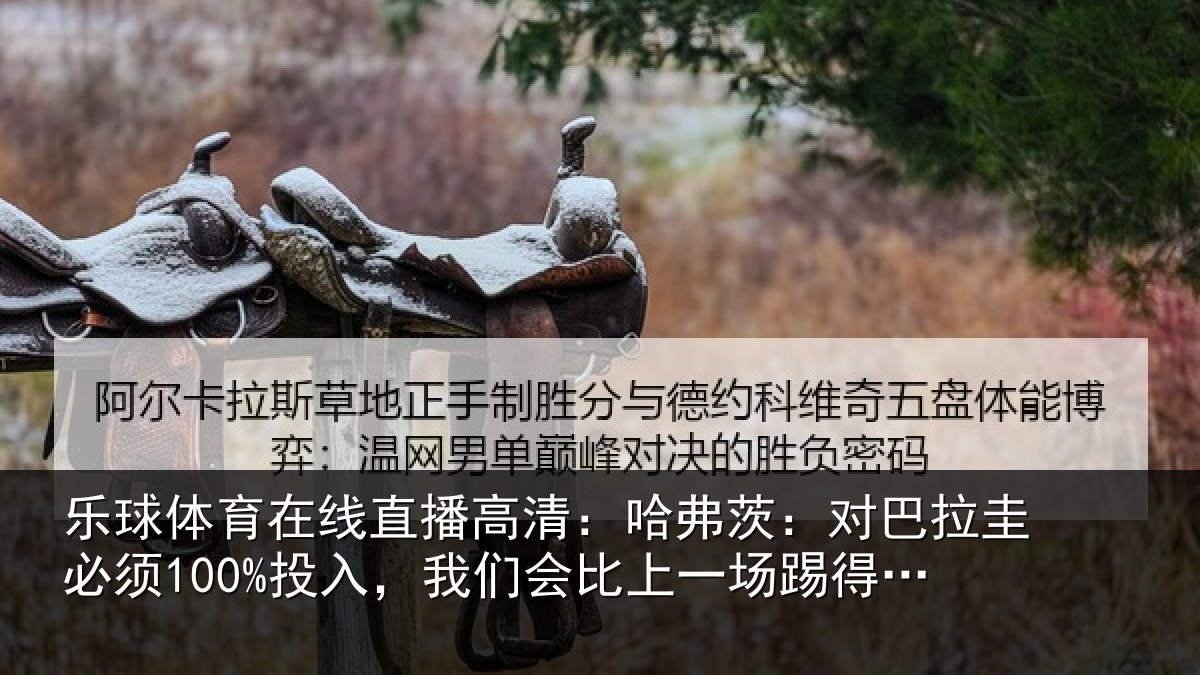 乐球体育在线直播高清:哈弗相关情况入我相关情况更好