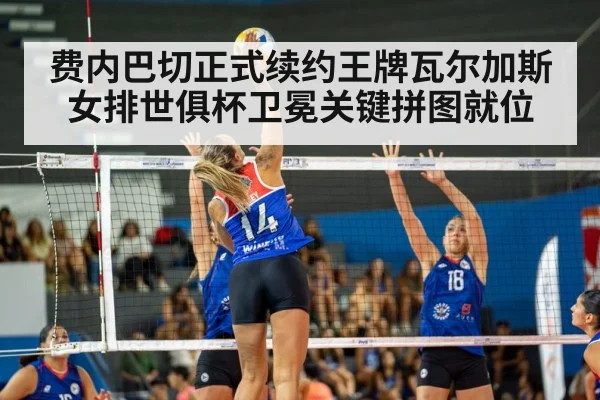 费内巴切正式续约王牌瓦尔加斯 女排世俱杯卫冕关键拼图就位