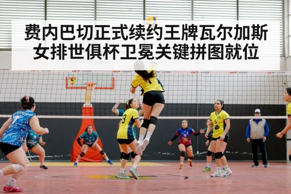 volleyball match action